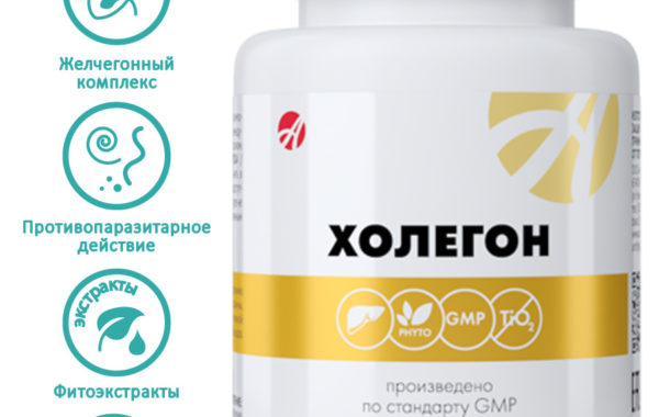 Холегон